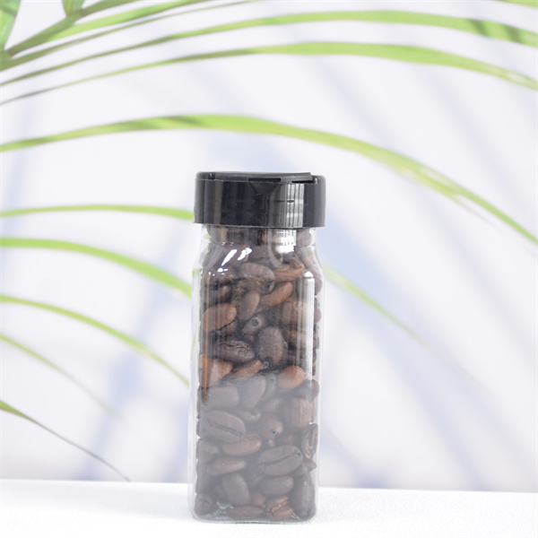 Plastic Spice Jars Clear and Safe Plastic Bottle Containers with Shaker Lids for Storing Spice/ Herbs and Seasoning Powders