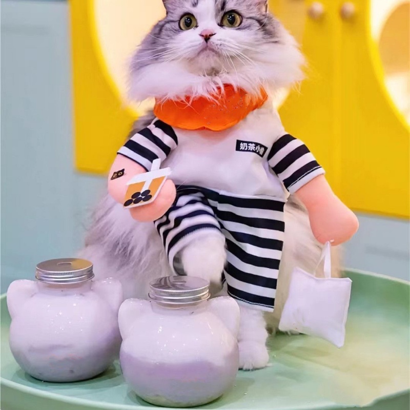 Custom 500ml 16oz Kawaii Animal Cat Shaped Water Bottle Takeout Drink Packaging Container Milk Tea Bubble Boba Tea Cups with Lid